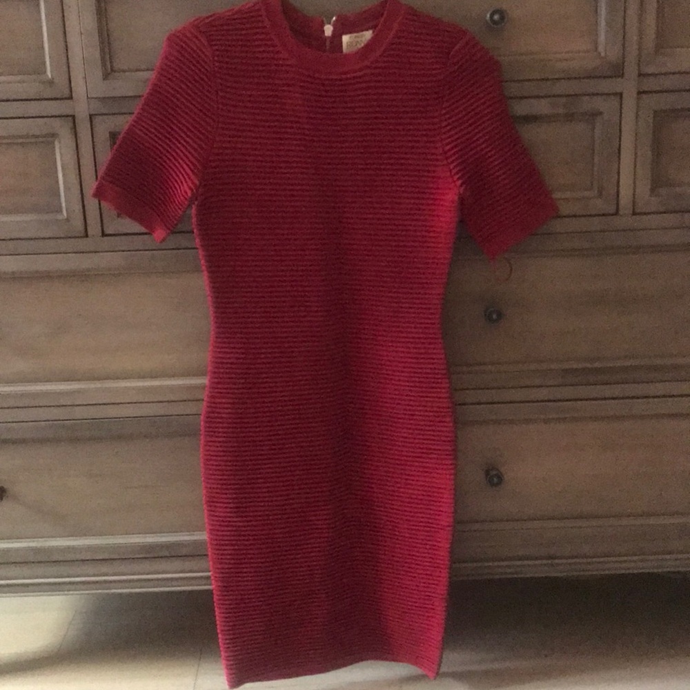 NWT: Torn Ronny Kobo Bodycon Dress Size:S